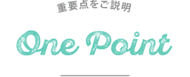 重要点を説明